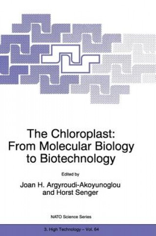 Kniha Chloroplast: From Molecular Biology to Biotechnology Joan H. Argyroudi-Akoyunoglou