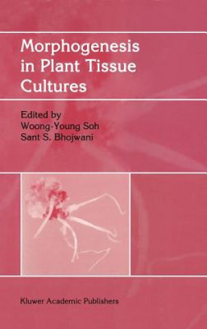 Kniha Morphogenesis in Plant Tissue Cultures Woong-Young Soh