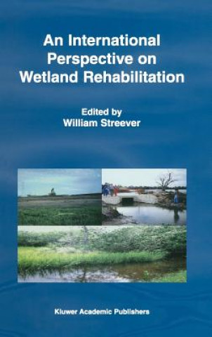 Kniha International Perspective on Wetland Rehabilitation W.J. Streever