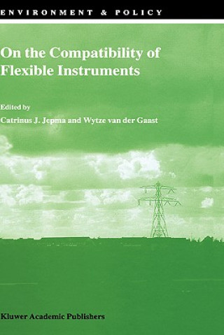 Kniha On the Compatibility of Flexible Instruments C.J. Jepma