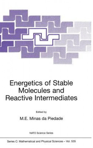 Knjiga Energetics of Stable Molecules and Reactive Intermediates M.E. Minas da Piedade