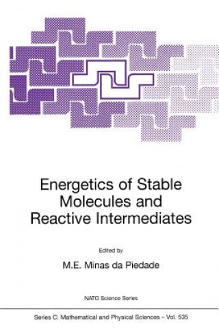 Knjiga Energetics of Stable Molecules and Reactive Intermediates M.E. Minas da Piedade