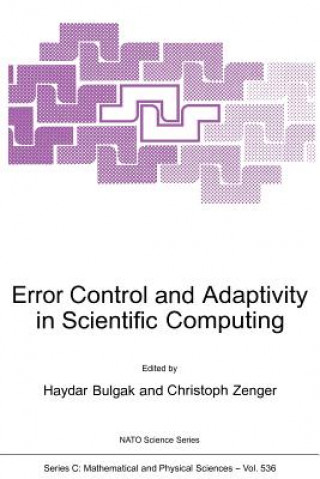 Книга Error Control and Adaptivity in Scientific Computing Haydar Bulgak