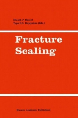 Buch Fracture Scaling Zdenek P. Bazant