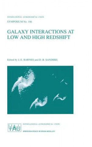 Könyv Galaxy Interactions at Low and High Redshift J. E. Barnes
