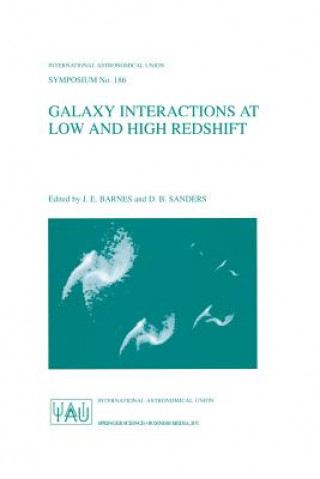 Könyv Galaxy Interactions at Low and High Redshift J. E. Barnes