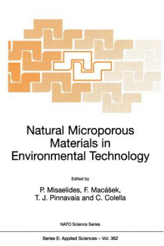 Könyv Natural Microporous Materials in Environmental Technology P. Misaelides
