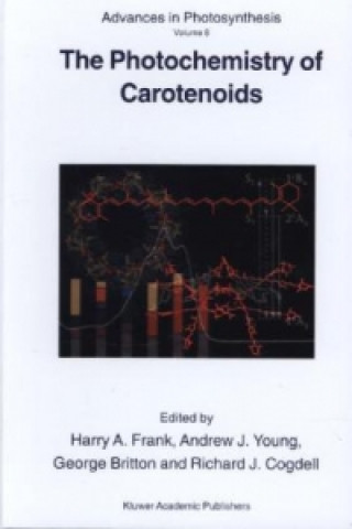 Könyv Photochemistry of Carotenoids A. Young