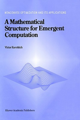 Kniha A Mathematical Structure for Emergent Computation V. Korotkikh