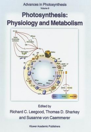 Kniha Photosynthesis: Physiology and Metabolism Richard C. Leegood