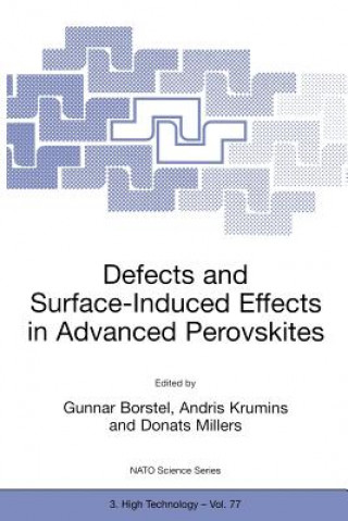 Kniha Defects and Surface-Induced Effects in Advanced Perovskites Gunnar Borstel