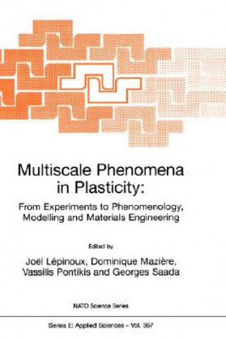 Kniha Multiscale Phenomena in Plasticity: From Experiments to Phenomenology, Modelling and Materials Engineering Joël Lépinoux