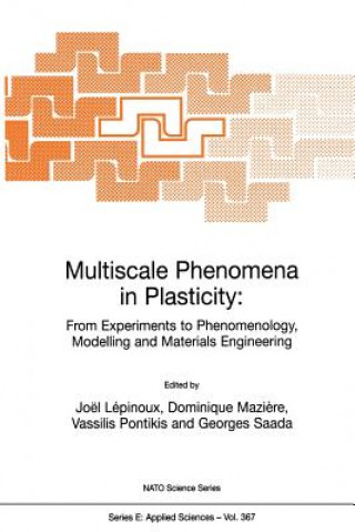 Könyv Multiscale Phenomena in Plasticity: From Experiments to Phenomenology, Modelling and Materials Engineering Joël Lépinoux