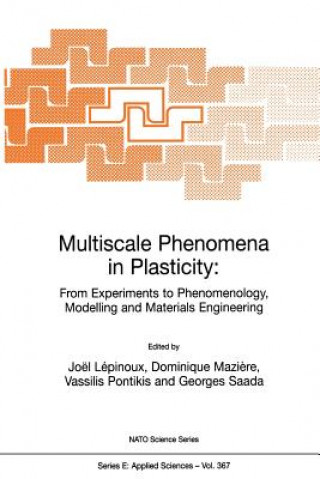 Kniha Multiscale Phenomena in Plasticity: From Experiments to Phenomenology, Modelling and Materials Engineering Joël Lépinoux