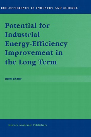 Buch Potential for Industrial Energy-Efficiency Improvement in the Long Term J. de Beer