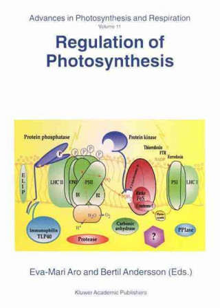 Carte Regulation of Photosynthesis Eva-Mari Aro