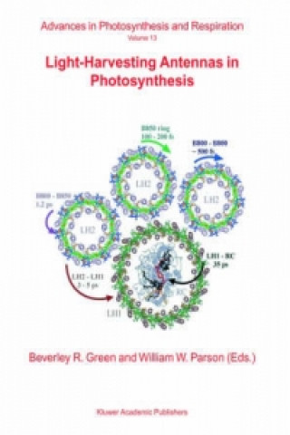 Książka Light-Harvesting Antennas in Photosynthesis B.R. Green