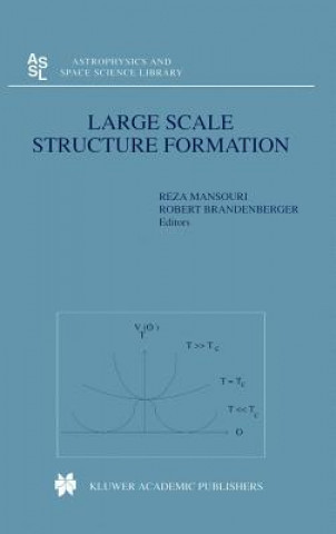 Kniha Large Scale Structure Formation Reza Mansouri