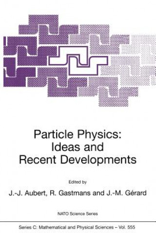 Kniha Particle Physics: Ideas and Recent Developments Jean-Jacques Aubert