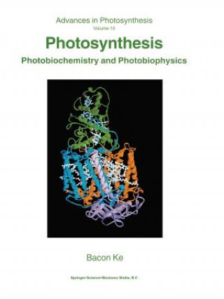 Kniha Photosynthesis Bacon Ke