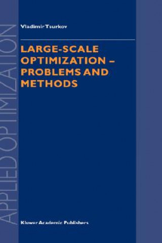 Kniha Large-scale Optimization Vladimir Tsurkov