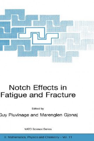 Könyv Notch Effects in Fatigue and Fracture G. Pluvinage