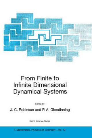 Książka From Finite to Infinite Dimensional Dynamical Systems James C. Robinson