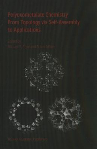 Könyv Polyoxometalate Chemistry From Topology via Self-Assembly to Applications M.T. Pope
