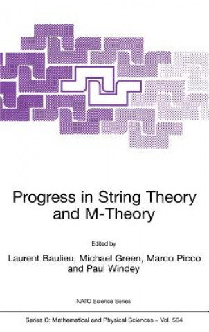 Könyv Progress in String Theory and M-Theory L. Baulieu