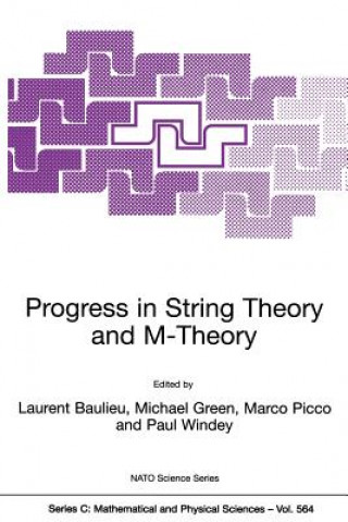 Könyv Progress in String Theory and M-Theory L. Baulieu