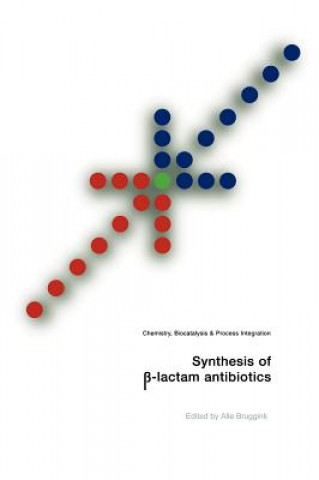 Książka Synthesis of  -Lactam Antibiotics Alle Bruggink