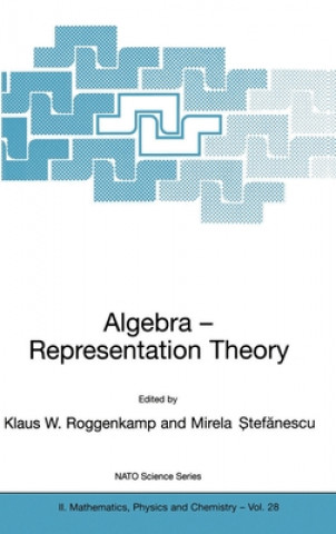 Książka Algebra - Representation Theory Klaus W. Roggenkamp