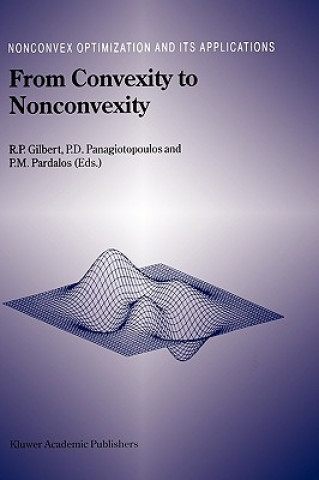Kniha From Convexity to Nonconvexity R.P. Gilbert