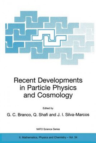 Książka Recent Developments in Particle Physics and Cosmology G.C. Branco