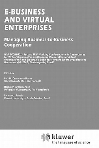 Könyv E-Business and Virtual Enterprises Luis M. Camarinha-Matos