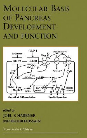 Könyv Molecular Basis of Pancreas Development and Function Joel F. Habener
