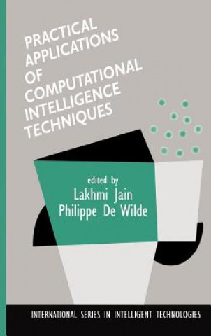 Kniha Practical Applications of Computational Intelligence Techniques Lakhmi Jain