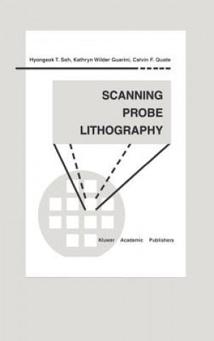 Könyv Scanning Probe Lithography Hyongsok T. Soh