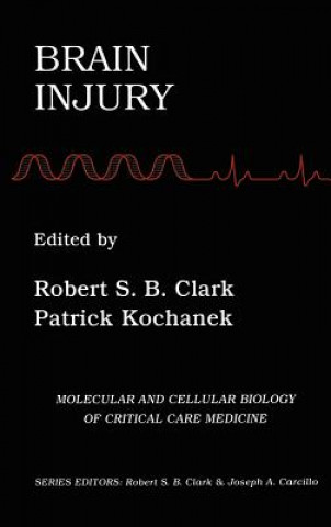 Βιβλίο Brain Injury Robert S.B. Clark