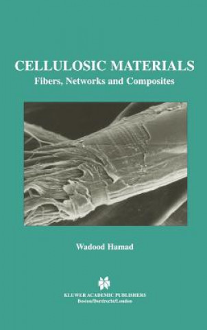 Könyv Cellulosic Materials Wadood Y. Hamad