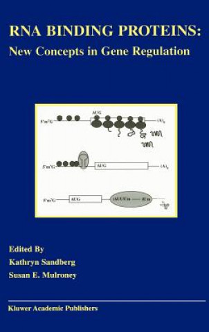 Книга RNA Binding Proteins Kathryn Sandberg