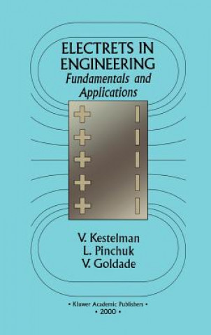 Knjiga Electrets In Engineering Vladimir N. Kestelman