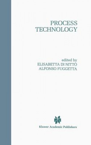 Книга Process Technology Elisabetta Di Nitto