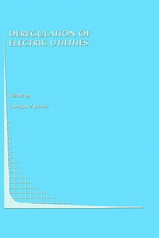Könyv Deregulation of Electric Utilities Georges Zaccour