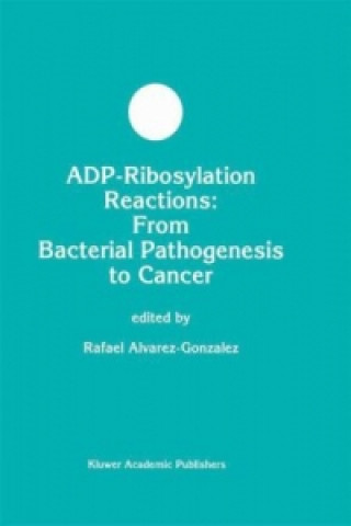 Könyv ADP-Ribosylation Reactions R. Alvarez-Gonzalez