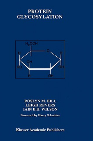 Kniha Protein Glycosylation Roslyn M. Bill