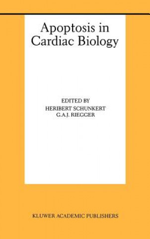Kniha Apoptosis in Cardiac Biology Heribert Schunkert