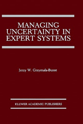 Könyv Managing Uncertainty in Expert Systems Jerzy W. Grzymala-Busse