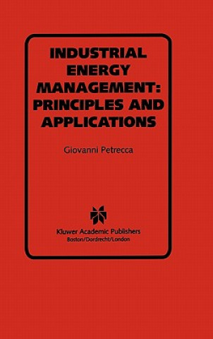 Книга Industrial Energy Management: Principles and Applications Giovanni Petrecca