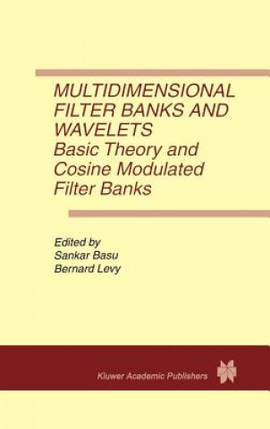 Kniha Multidimensional Filter Banks and Wavelets Sankar Basu